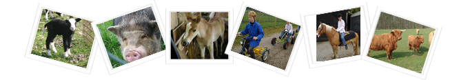Zelfstandige boerderij voor dag- of dagdeelbesteding